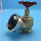 Fire Fighting Equipment BS336 Landing Valve