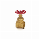 Brass Shut off Valve for Water manufacturer