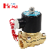 DN15 1/2 Inch 2W-160-15 Normally Closed Brass AC220V DC12V DC24V 2 Way Electric Solenoid Valve Pneumatic Valve