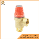  Pressure Reducing Control Valve Cryogenic Valve Industrial Cooling Valve Spring Brass Refrigerant Safety Relief/Reducing Valve for Cooling/Freezing Equipment