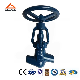 Power Station Globe Valve (GAJ61Y)