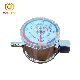 Automatic Body Water Mechanical Solenoid Gas Timer Valve