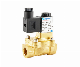 Senya Pneumatic High-Quality Industry Leading OEM Service 2V Series Direct Acting & Pilot Operated Water Electromagnetic Valve 2/2 Ways Solenoid Valve