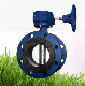 Pn16 Wcb Single/Double Flange Soft Sealing Electric Butterfly Valve