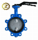  10 Lug Cryogenic Grooved Wafer Type Ci Actuated 4 Inch Italy Butterfly Valve