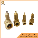 Brass Bronze Forging Control High-Pressure Reducer Relief Safety Valve for Boiler Steam manufacturer