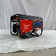 110V 220V 230V 2.5kw 2.8kw Gas LPG Power Electric Mini Portable Gasoline Generator