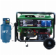 Slong Home Standby Electric Start LPG Generator Set with Intergrated ATS