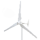  300W 12V 24V Free Energy M-Wind Horizontal Axis Wind Turbine Generator