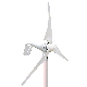 400W 12V 24V Windmill Power Horizontal Axis Wind Turbine Generator