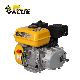 Power Value 170f 210cc Air-Cooled Single Cylinder Fuel Efficient Ohv Gx210 Gasoline Engine 7HP