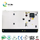  10kw Genset High Quality Cheap Price Silent Diesel Generator Low Noise 10kw Genset