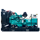  250kw 312.5kVA Water Cooling Soundproof Plant Power Supply Genset Cummins with Yofen