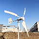  Samll 1kw 2kw Wind Power Turbine Generator 48V for Home Use