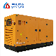  80kw 100kVA Natural Gas CNG LPG Generator Water-Cooled Super Silent Home Professional Supplier