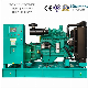  Weifang Ricardo Powered Diesel Electrical Generator