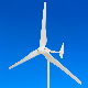 1kw Wind Turbine/ Wind Mill/ Wind Generator