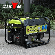  China 2kw BS2500 Petrol Recoil/Electric Portable Small Gasoline Generator