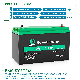 Deep Cycle Energy Storage Battery 12V 100ah LiFePO4 Battery with Built-in BMS manufacturer