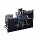  200kVA/160kw Diesel Generator AC Three-Phase 6 Cylinders Pure Copper Brushless Power Generator for Steel Plant/Paper Mill/Building Contractor
