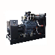 200kVA/160kw Diesel Generator AC Three-Phase 6 Cylinders Pure Copper Brushless Power Generator for Steel Plant/Paper Mill/Building Contractor