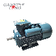  280kw 1000kw 3000kw Electric Motors Direct Drive Permanent Magnet Synchronous Generator