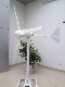 Brushless 1kw Wind Turbine Generator for Home China