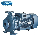  Pst Series Centrifugal Pump From Purity in Lahore for Agriculture