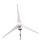 Wholesale Household White 100W 200W 300W Wind Turbine Wind Power Generator Marine Wind Generators