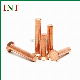 OEM Factory Aluminum Steel Brass Copper Rivets