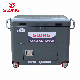 Slong 10000watt Silent Inveter Generator Set Silent Gasoline Generator