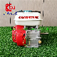  7.5HP Gx200 Grinding Machine Small Portable Gasoline Engine Hot Selling