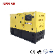  Ruixian Diesel Power Generator China 12.5 kVA Generator Suppliers 10kVA 15kVA 20kVA 25kVA 30kVA 40kVA Diesel Generator Set 500kw Generator Set