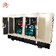  Biogas/Natural Gas Generator Set 18kw 35kw 50kw with Automatic Transfer Start with Perkins, Cummin, Weichai, Yuchai, Ricardo Gas Engine for Home Backup Use