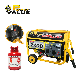  Power Value 2kw China Gas Series Generator Bio Gas Generator