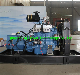 Cheap Price Ricardo 30kw 37.5kVA Biogas Generator Set