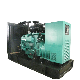  2020 Hot Sale 250kw Natural Gas Generator by Cummins Engine