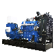  Three Phase Engine 40kw Biogas Generator Set