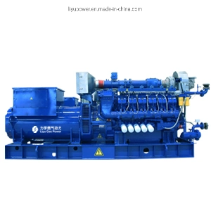 Liyu 0.8MW/800kw Biomass Gas 10.5kv/10500V Power Generator Sets