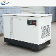  30kw Tailor-Made Ng+LPG+Petrol Multi-Fuel Back-up Power Generating Sets