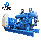  120kw 150kVA Natural Gas/Biogas/LPG Generator Set with Weichai Deutz Engine