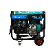 Best Quality 192fa Diesel Engine Welding Generator