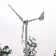 10kw 15kw 20kw Horizontal Wind Turbine Generator 220V 380V Output with CE