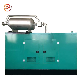  15kw 20kw 50kw to 500kw Hot Sale Gas Engine Power Generator Biogas LPG Biomass Syngas Natural Gas Generator Price