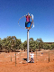  Wind Power Generator 1kw 2kw 3kw 5kw 10kw off-Grid/on-Grid Solar System 10kw Solar Energy Generator (Wind Turbine 200W-10kw)