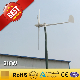  3kw Home Use Wind Turbine / Wind Power Generator System (3000W)