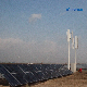  1kw 2kw 3kw 5kw 10kw Vertical Wind Turbine Solar Panel Hybrid System