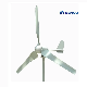  Top Sale Wind Home System Price 500W 1000W Wind Turbine