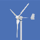 1000W 24V/48V Wind Power Energy Generator