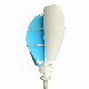  2000W Wind Turbine System Home Vertical Axis Wind Turbine for Sale